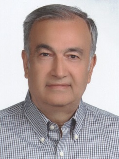 Mohsen Kahrom