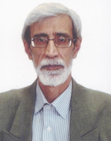Mojtaba Mamourian